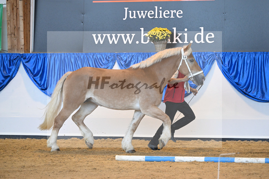 Kat-Nr. 12 Madonna_Familie zum Berge_53220994 | hf-fotografie - Realizzato con Pictrs.com