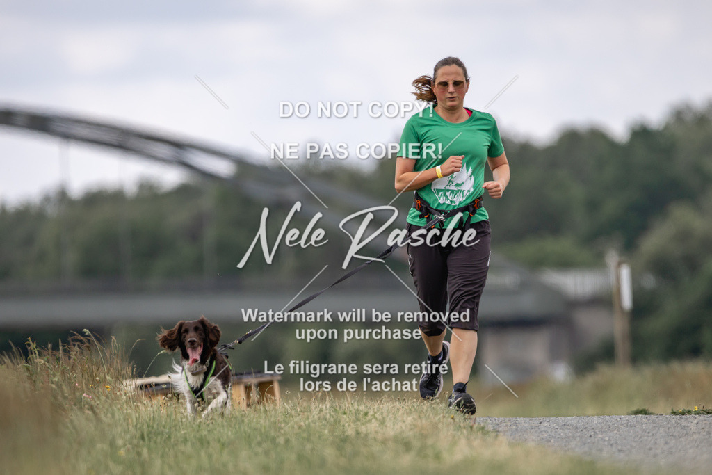 nelerasche_BuHu2026_SaCC1100-1200_65 | nelerasche