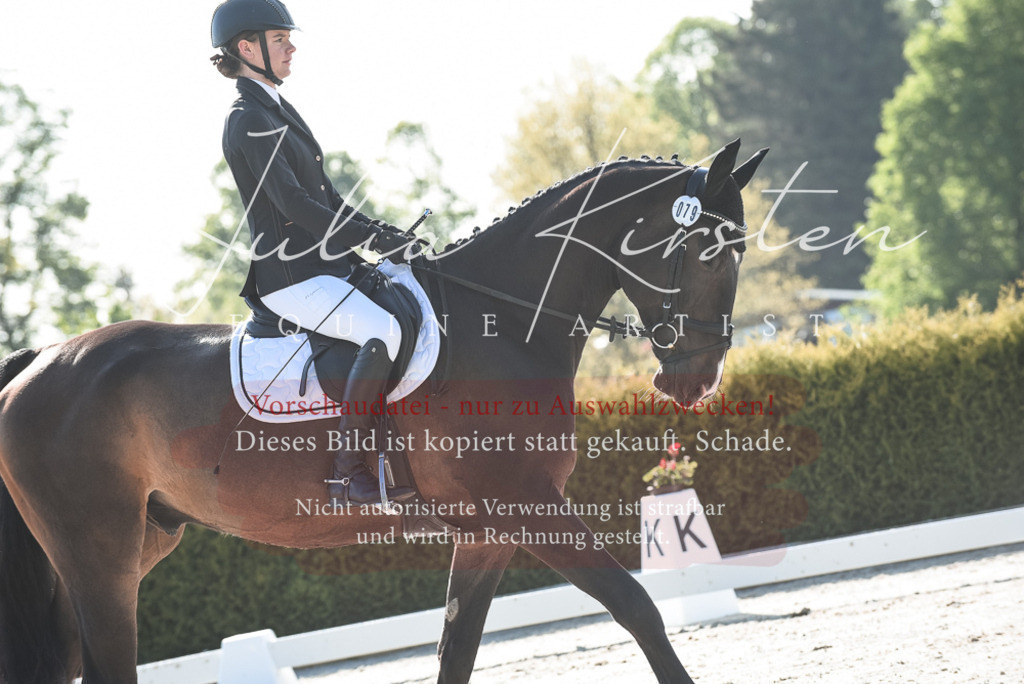 20230518_JK-Röhrsdorf-09-0545 | Pferde- und Turnierfotografie in Westsachsen. Pferdeportraits, Auftragszeichnungen und intuitive Kunst.