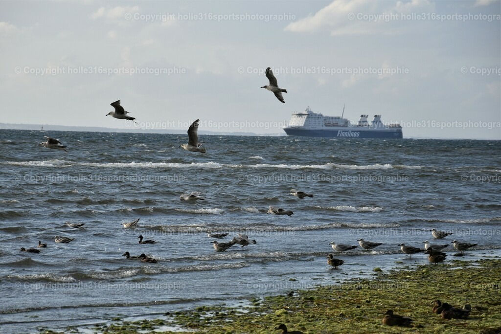DSC_0135 (2) | Sportfotografie , Motorsport, Motoross, Reitsport, Mointainbike, Enduro,
Landschaft , Outdoor, Eventfotografie, Landschaft, Bilder online bestellen - Realisiert mit Pictrs.com