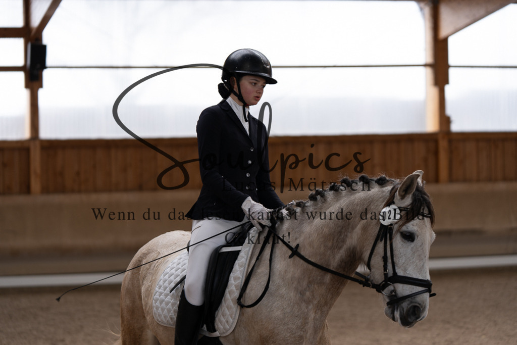 A7507177 | Pferdefotograf