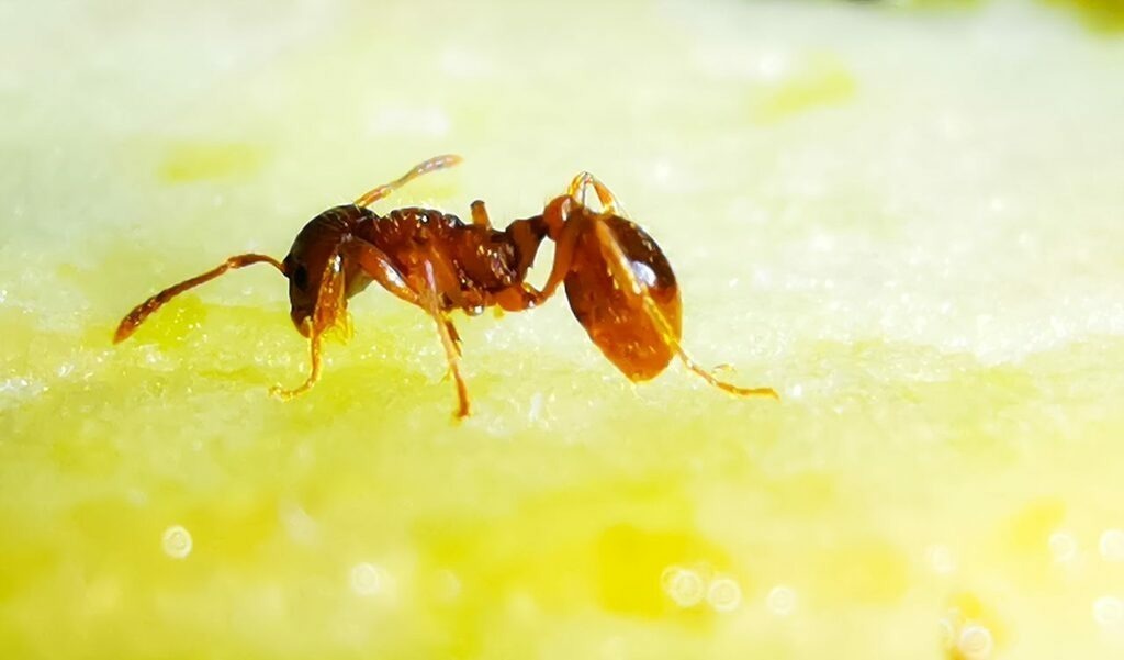 PSX_20220801_001815 | mtkfoto_ - Realisiert mit Pictrs.com