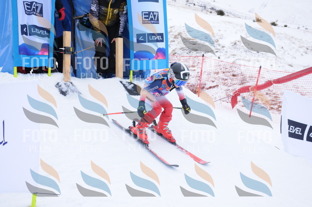 DSC_8528 | holidayphoto