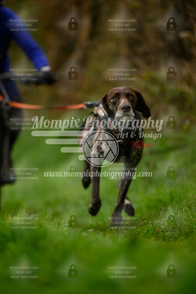 MompixPhotography_20TSB_E8_Bike-98 | PayLife