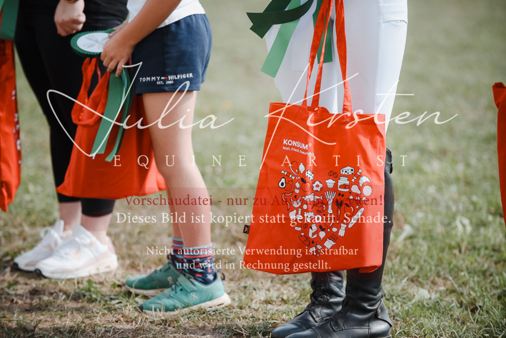 DSC_5571 | Pferde- und Turnierfotografie in Westsachsen. Pferdeportraits, Auftragszeichnungen und intuitive Kunst.