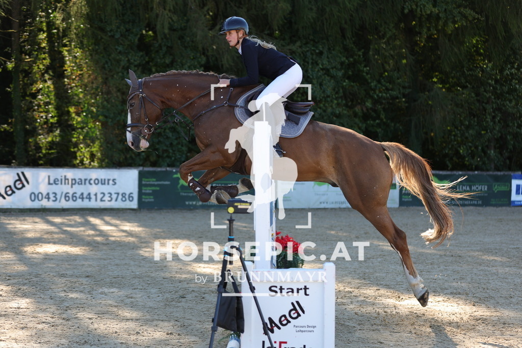 0P6A0339 | Willkommen bei Brunnmayr - Design & Fotografie – Ihrem Spezialisten für Reitturniere und Pferdeveranstaltungen in Oberösterreich, Salzburg und Bayern! Seit über 17 Jahren sind wir leidenschaftlich dabei.