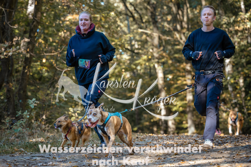 1122_ZZ92200 | kk-dogfotos