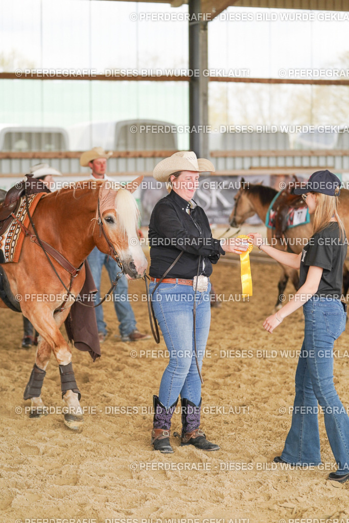 DSC02276 | Pferdegrafie