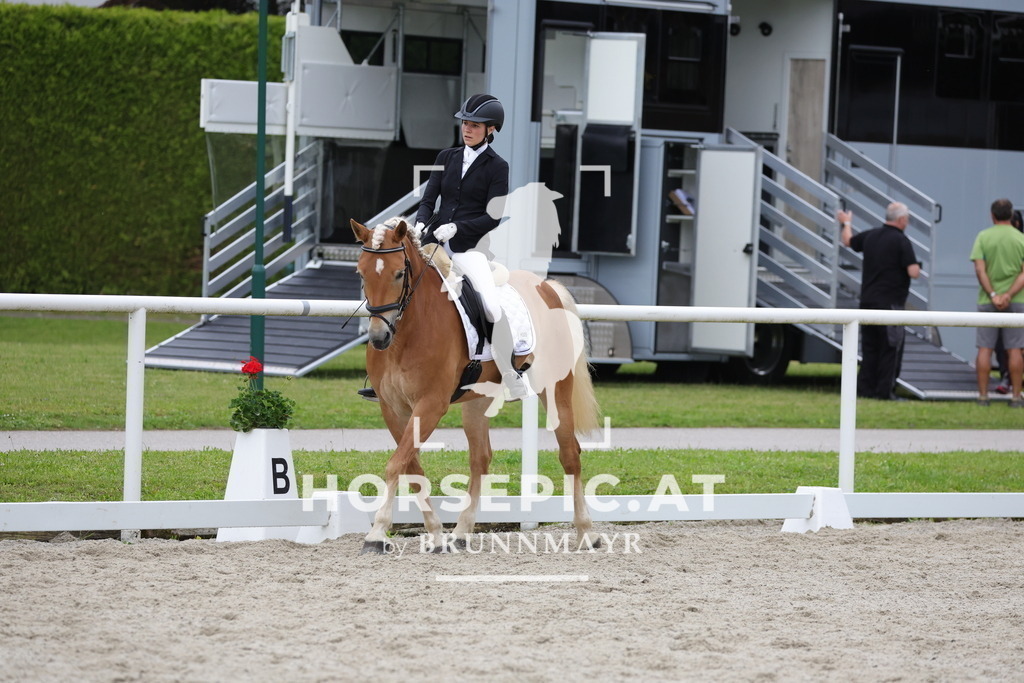 0P6A7078 | Willkommen bei Brunnmayr - Design & Fotografie – Ihrem Spezialisten für Reitturniere und Pferdeveranstaltungen in Oberösterreich, Salzburg und Bayern! Seit über 17 Jahren sind wir leidenschaftlich dabei.