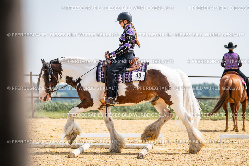 DSC00042 | Pferdegrafie