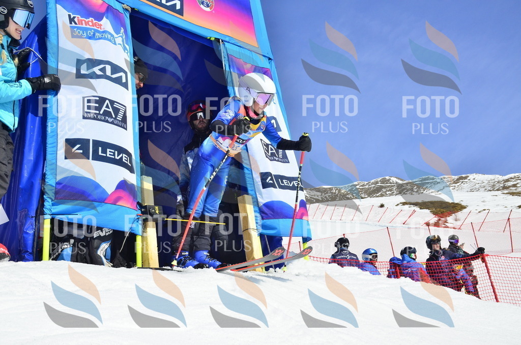 _ELE0515 | holidayphoto