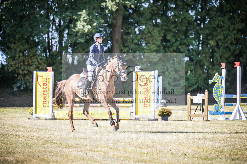 DOS_0240 | Entdecke hochwertige Reitturnierfotos von Foto Oger. Professionell, emotional und authentisch – jetzt Lieblingsmomente im Shop bestellen.Deutschlandweite Turnierfotografie. - Realisiert mit Pictrs.com