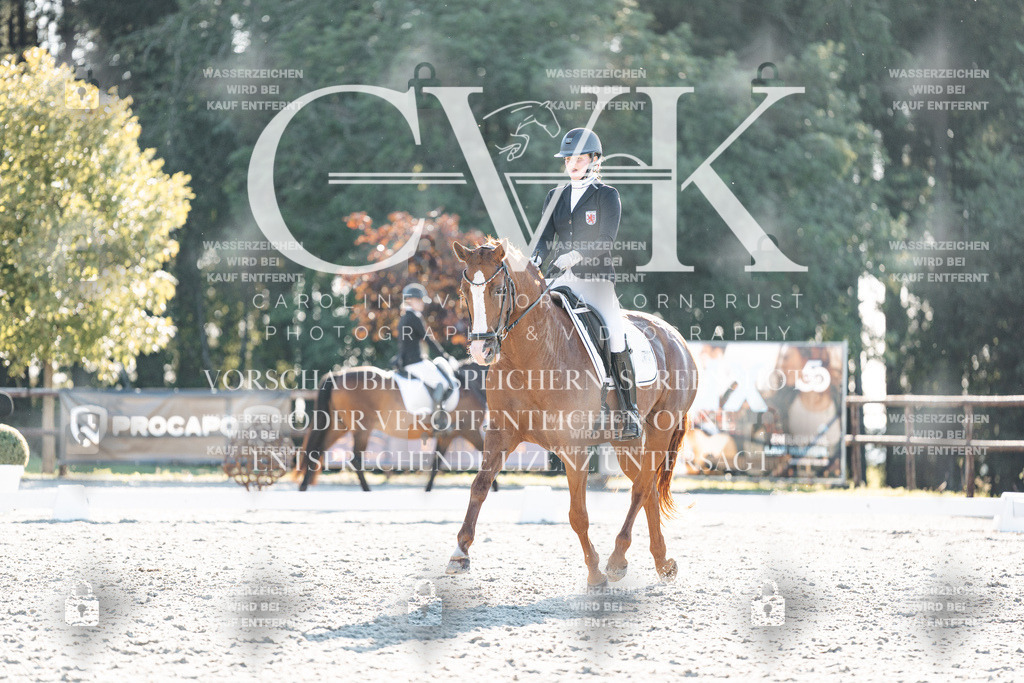 CK906961 | Turnierfotografie Pferdefotografie Trier Rheinland-Pfalz Pferdesport Reitsport Tierfotografie Sportfotografie Pferdevideo Pferdevideografie Equestrianvideography equestrianphotography  - Realisiert mit Pictrs.com
