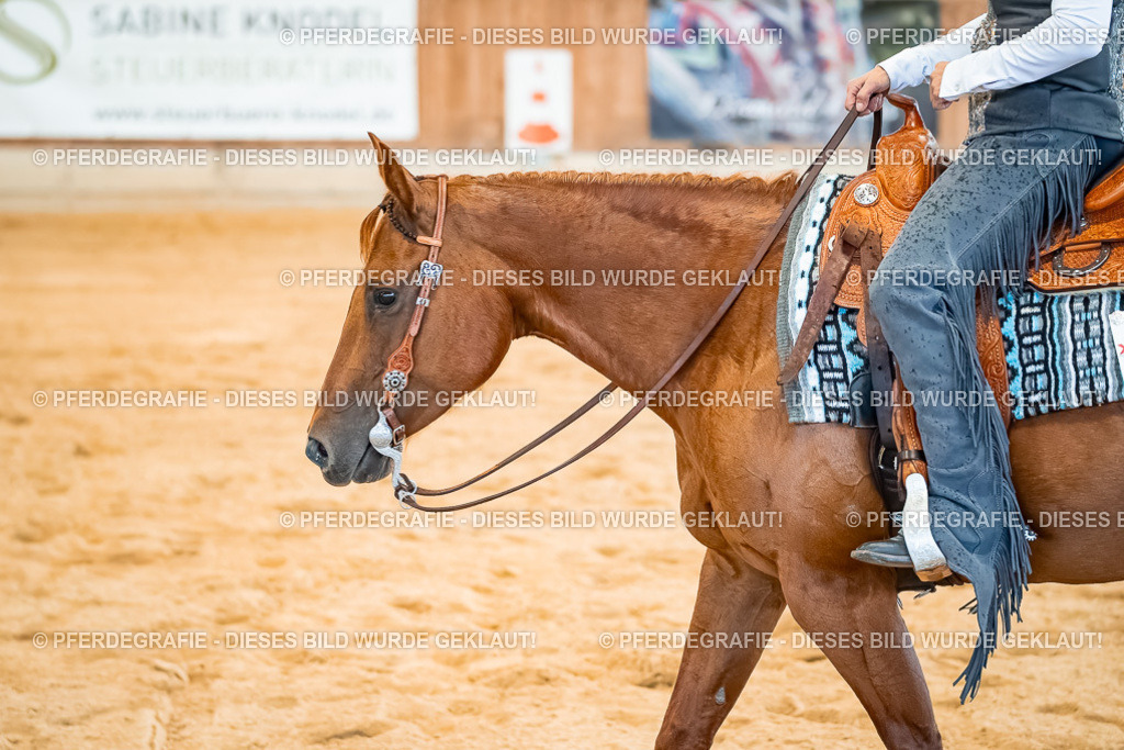 DSC00037 | Pferdegrafie