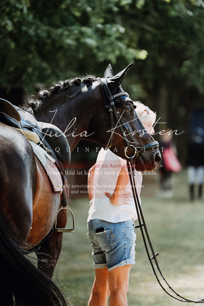 DSC_2760 | Pferde- und Turnierfotografie in Westsachsen. Pferdeportraits, Auftragszeichnungen und intuitive Kunst.