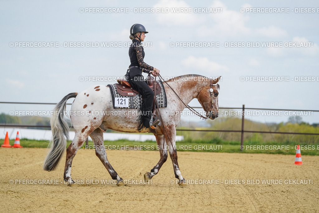 DSC05657 | Pferdegrafie