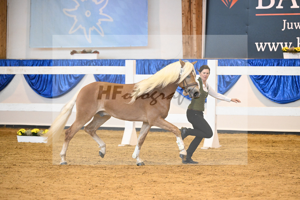 Kat-Nr. 16 nn v. Wendelin_Knoll_60220236 | hf-fotografie - Realisiert mit Pictrs.com