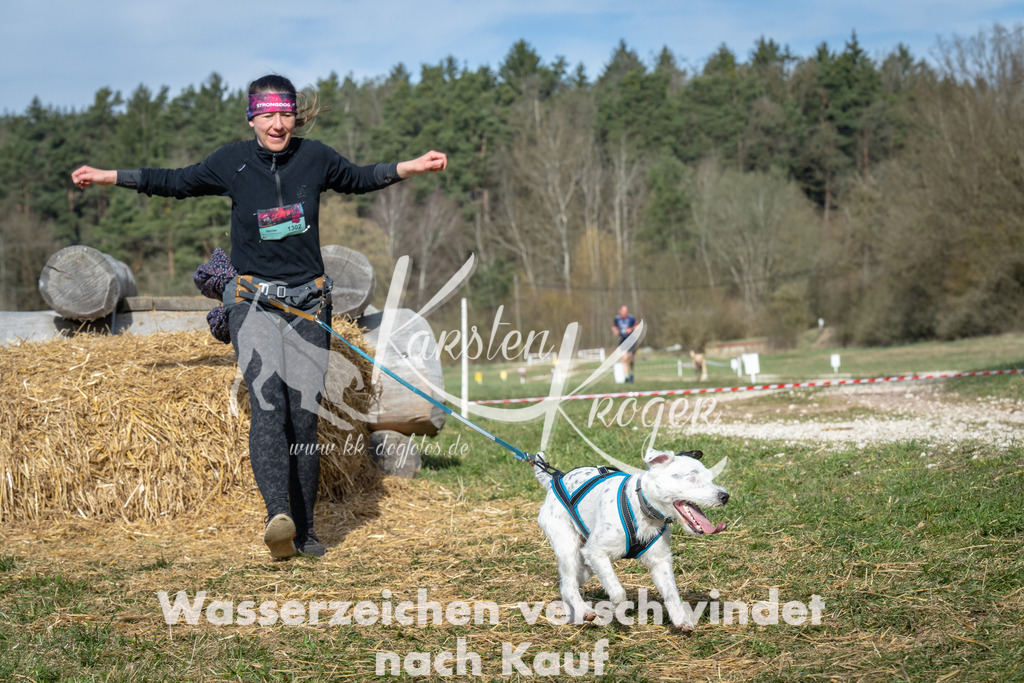 0953_ZZ97036 | kk-dogfotos