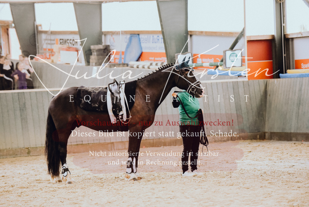DSC_6931 | Pferde- und Turnierfotografie in Westsachsen. Pferdeportraits, Auftragszeichnungen und intuitive Kunst.