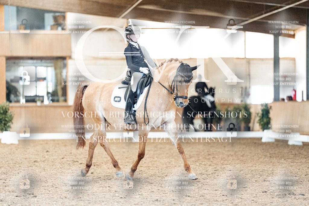CK909585 | Turnierfotografie Pferdefotografie Trier Rheinland-Pfalz Pferdesport Reitsport Tierfotografie Sportfotografie Pferdevideo Pferdevideografie Equestrianvideography equestrianphotography  - Realisiert mit Pictrs.com