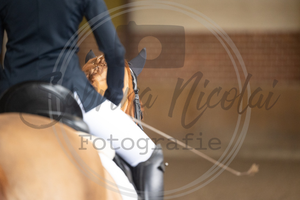 994A8865 | sabrinanicolaifotografie - Realisiert mit Pictrs.com