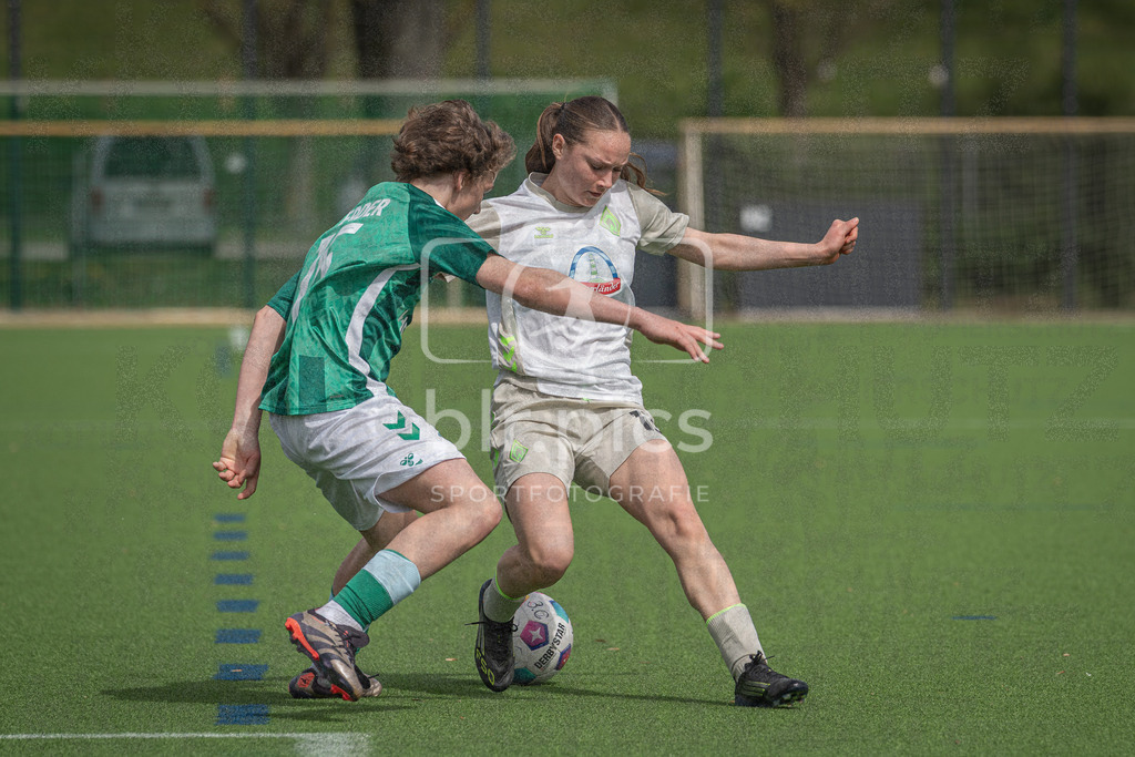 _DSC3263 | Professionelle Fußball- und Sportfotografie. Spielbilder online ansehen und kaufen – Einzelbilder oder komplette Galerien in hoher Qualität. - Realisiert mit Pictrs.com