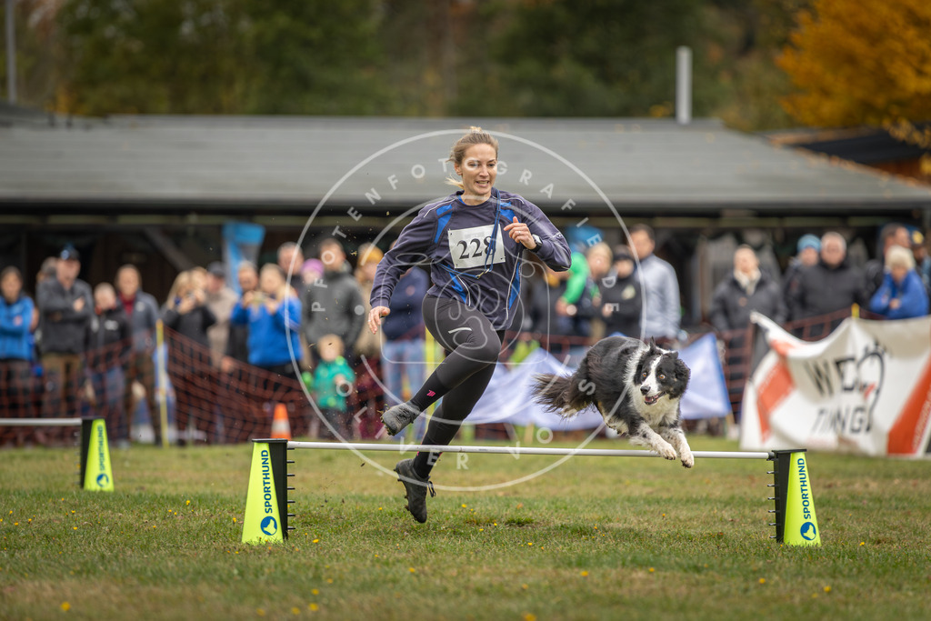 Pfotenfotografie_DV3A3246 | Hundefotografie, Tierfotograf, Pfotenfotografie, Fotoshooting Hund, Hunde Portrait, Hundesport, Hundeportraits, Heideshooting, Hunde, Sportfotograf, Hundefotograf, Turnierhundsport, THS,  - Realisiert mit Pictrs.com