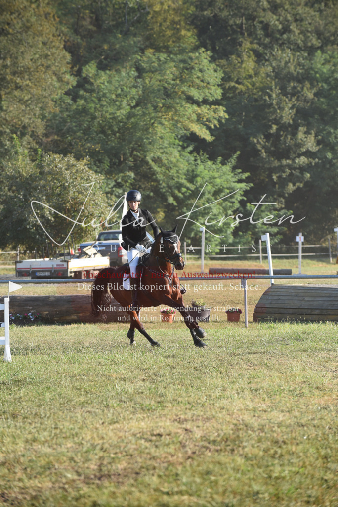 DSC_4933 | Pferde- und Turnierfotografie in Westsachsen. Pferdeportraits, Auftragszeichnungen und intuitive Kunst.