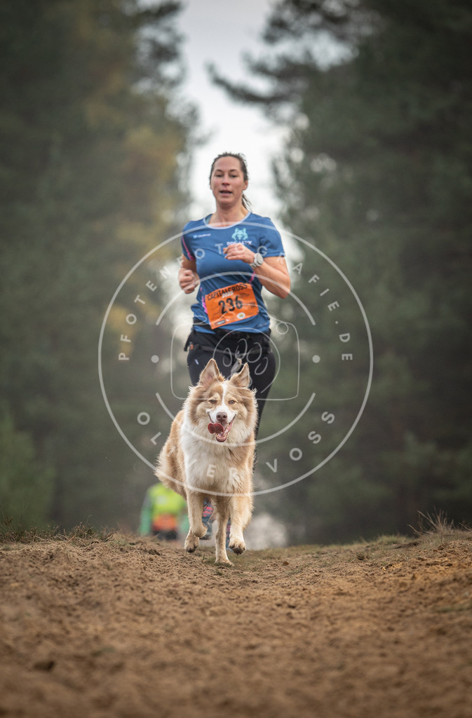 Pfotenfotografie_DV3A5565 | Hundefotografie, Tierfotograf, Pfotenfotografie, Fotoshooting Hund, Hunde Portrait, Hundesport, Hundeportraits, Heideshooting, Hunde, Sportfotograf, Hundefotograf, Turnierhundsport, THS,  - Realisiert mit Pictrs.com