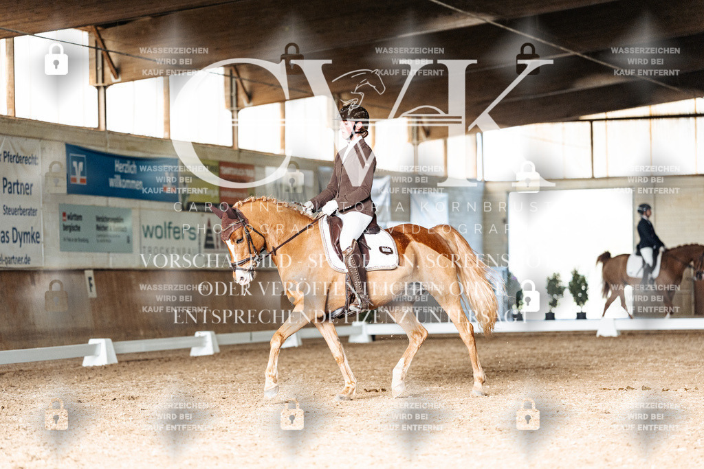 CK902920 | Turnierfotografie Pferdefotografie Trier Rheinland-Pfalz Pferdesport Reitsport Tierfotografie Sportfotografie Pferdevideo Pferdevideografie Equestrianvideography equestrianphotography  - Realisiert mit Pictrs.com