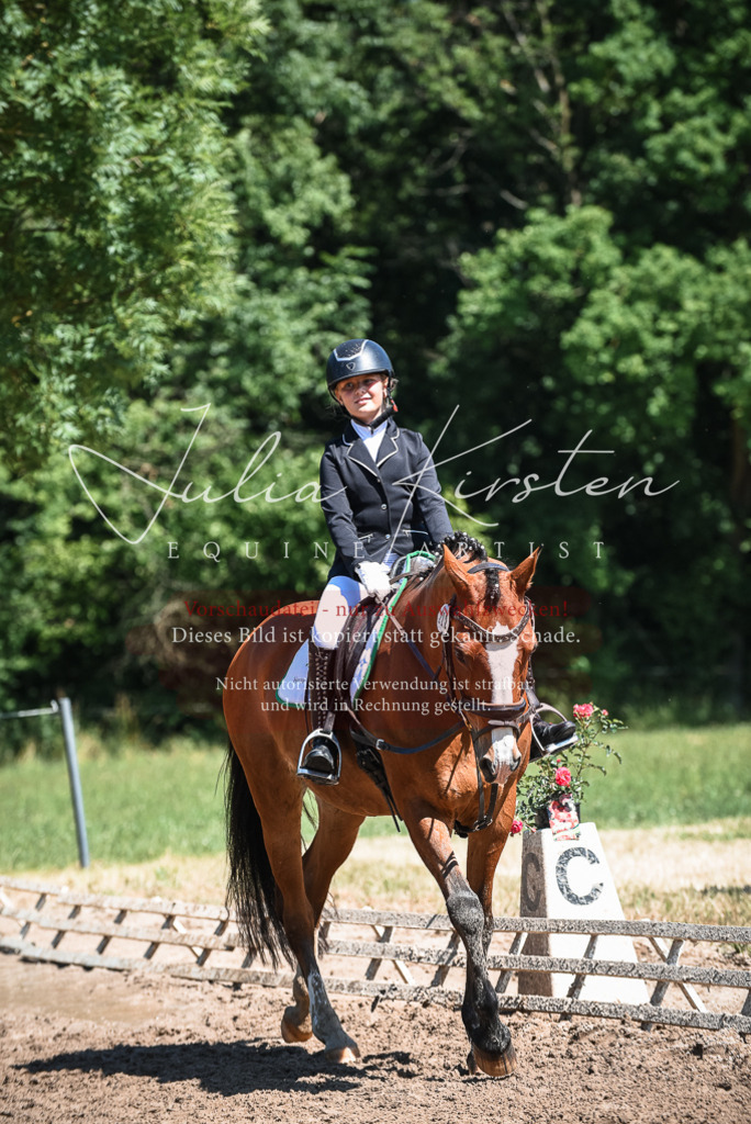DSC_3406 | Pferde- und Turnierfotografie in Westsachsen. Pferdeportraits, Auftragszeichnungen und intuitive Kunst.