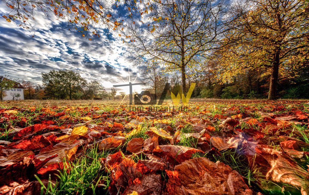 Schloss Solitude Herbstwiese | Hochauflösende und hochwertige Bilder und Fotos.Kommerzielle oder private Nutzung ✔ Bilder downloaden✔ Acryl ✔ Leinwand ✔ Poster ✔
 - Realisiert mit Pictrs.com