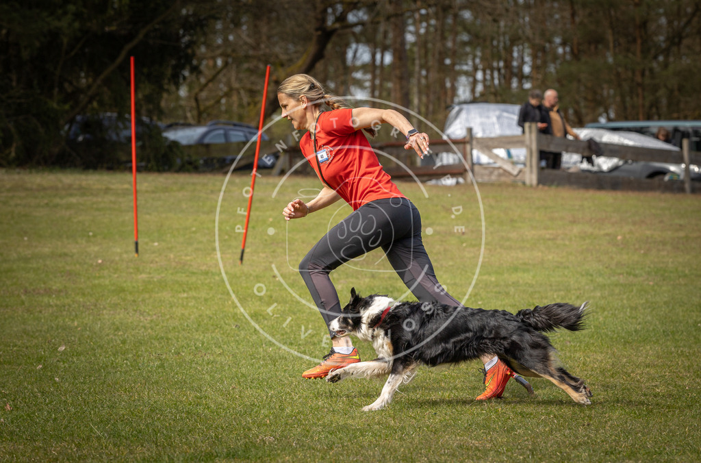 Pfotenfotografie_DV3A7666 | Hundefotografie, Tierfotograf, Pfotenfotografie, Fotoshooting Hund, Hunde Portrait, Hundesport, Hundeportraits, Heideshooting, Hunde, Sportfotograf, Hundefotograf, Turnierhundsport, THS,  - Realisiert mit Pictrs.com