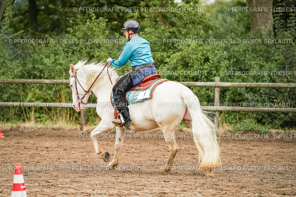 DSC03632 | Pferdegrafie