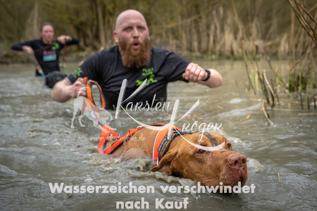 1354_ZZ94273 | kk-dogfotos