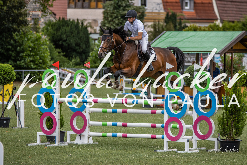IMG_7125 | Erleben Sie dynamische Sport- und emotionale Tierfotografie in Süddeutschland mit Fotos von Paula. Spezialisiert auf Pferde- und Hundefotografie sowie Sportevents. Kontaktieren Sie mich für einzigartige und ausdrucksstarke Bilder Ihrer besonderen Momente. - Realisiert mit Pictrs.com