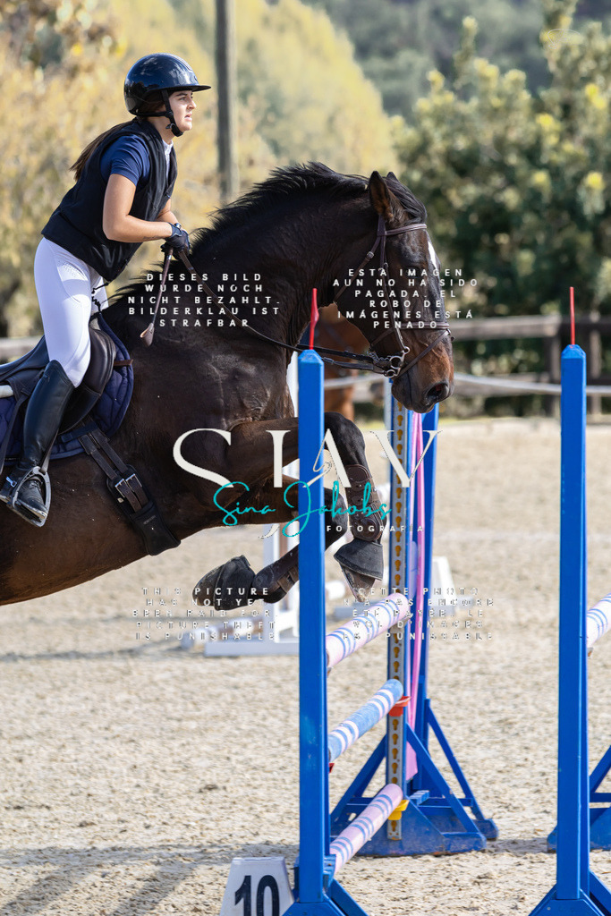 IMG_6247 | s-jay-photography - Realisiert mit Pictrs.com