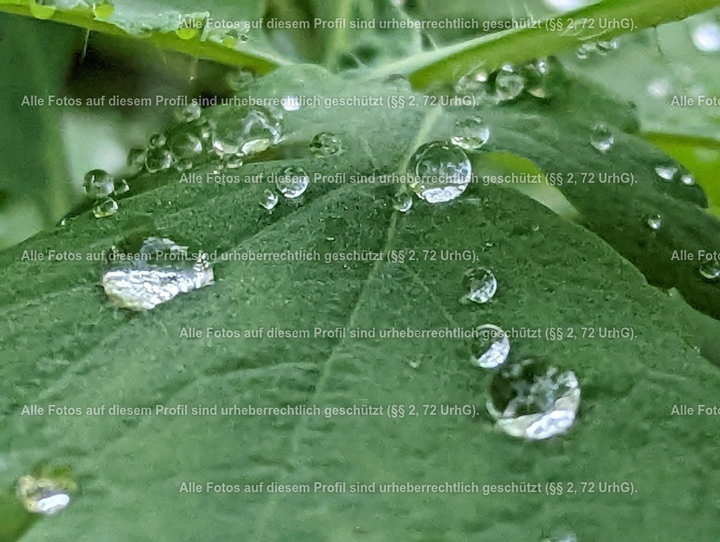 PXL_20221018_154831141 | krollfotografie - Realisiert mit Pictrs.com