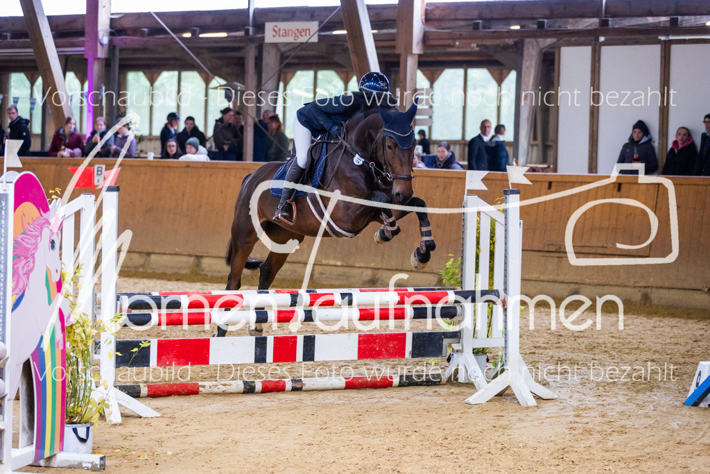 Sth-A-Springen-129 | MomenTaufnahmen Pferdesportfotos