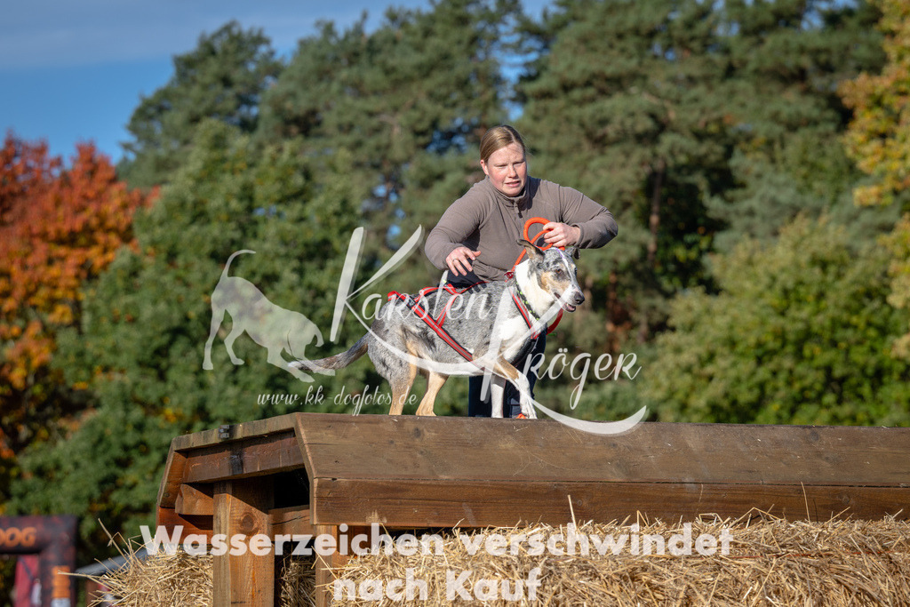 1002_ZZ92039 | kk-dogfotos