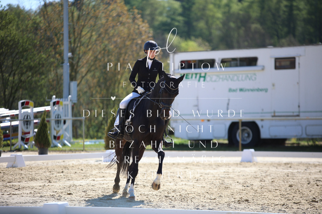 IMGT9912 | pl-fotografie