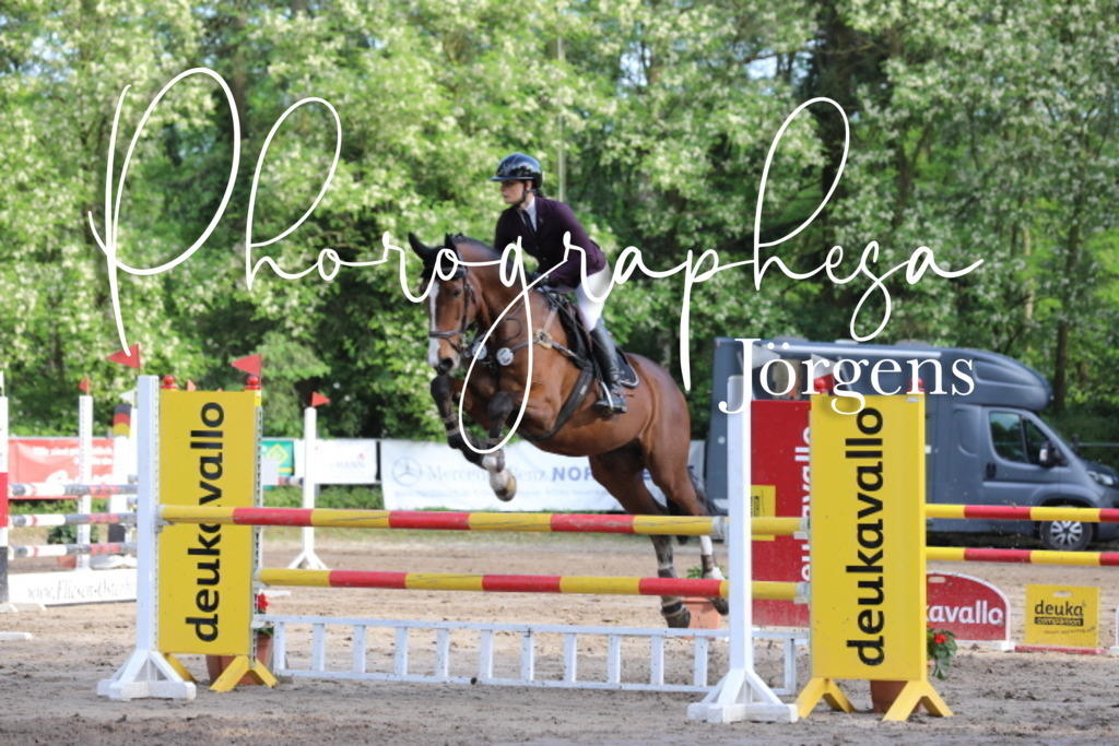 IMG_9112 | photographesa-joergens - Realisiert mit Pictrs.com