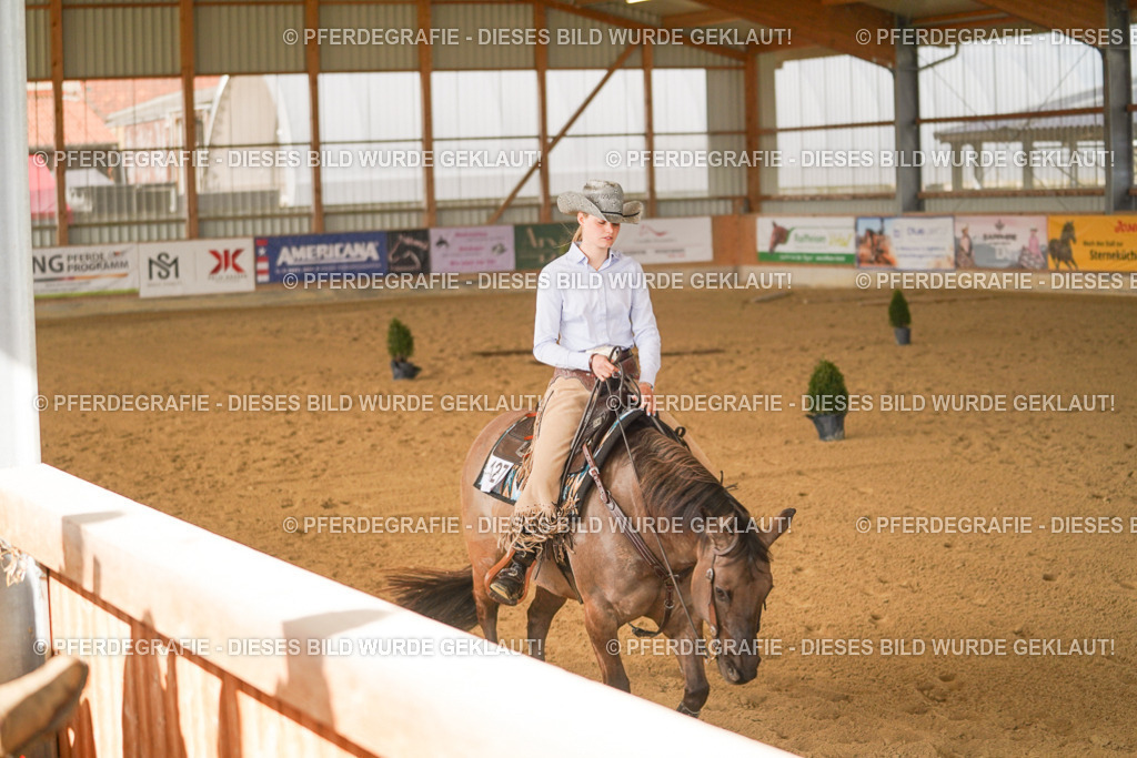 DSC02411 | Pferdegrafie