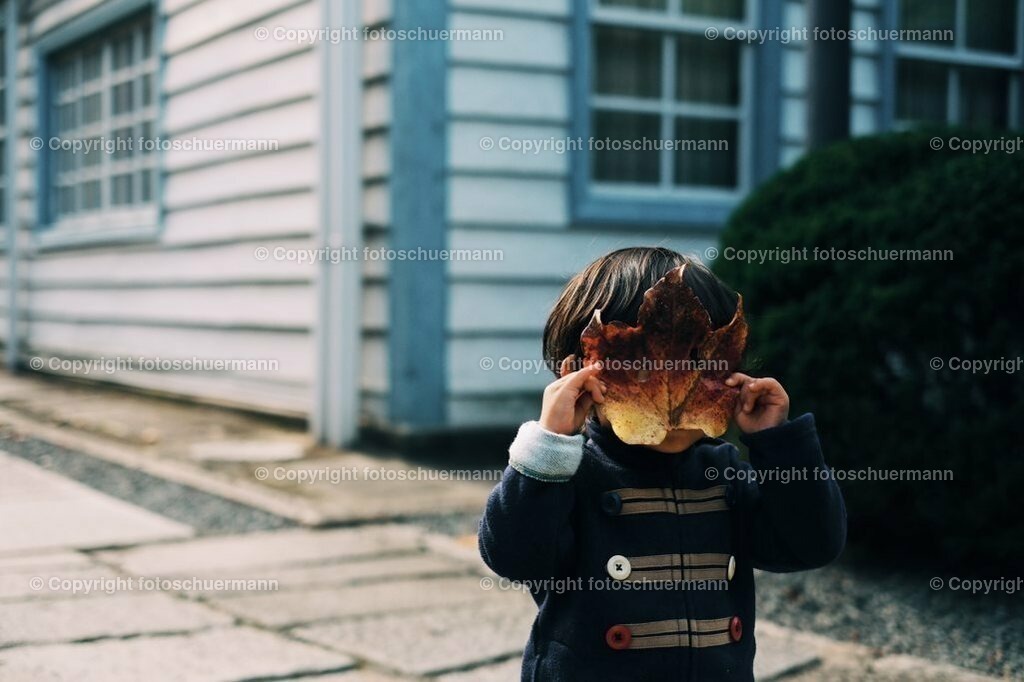 2-14-1025-683 | fotoschuermann - Realisiert mit Pictrs.com