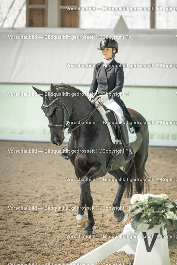 _D5A1666 | Emotionale Pferde- & People-Fotografie rund um Heidelberg, Leimen & Umgebung. Natürliche Fotos von Pferd, Mensch & Familie. Jetzt Termin sichern!