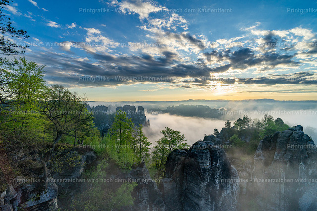 Über den Felsen im Morgennebel | Stimmungsvolle Aussicht über eine neblige Felslandschaft mit grünen Bäumen und weitem Himmel. Der sanfte Morgennebel zwischen den Felsen verleiht der Szene eine ruhige, natürliche Tiefe. - Realisiert mit Pictrs.com