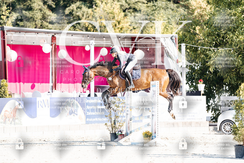 CK902019 | Turnierfotografie Pferdefotografie Trier Rheinland-Pfalz Pferdesport Reitsport Tierfotografie Sportfotografie Pferdevideo Pferdevideografie Equestrianvideography equestrianphotography  - Realisiert mit Pictrs.com