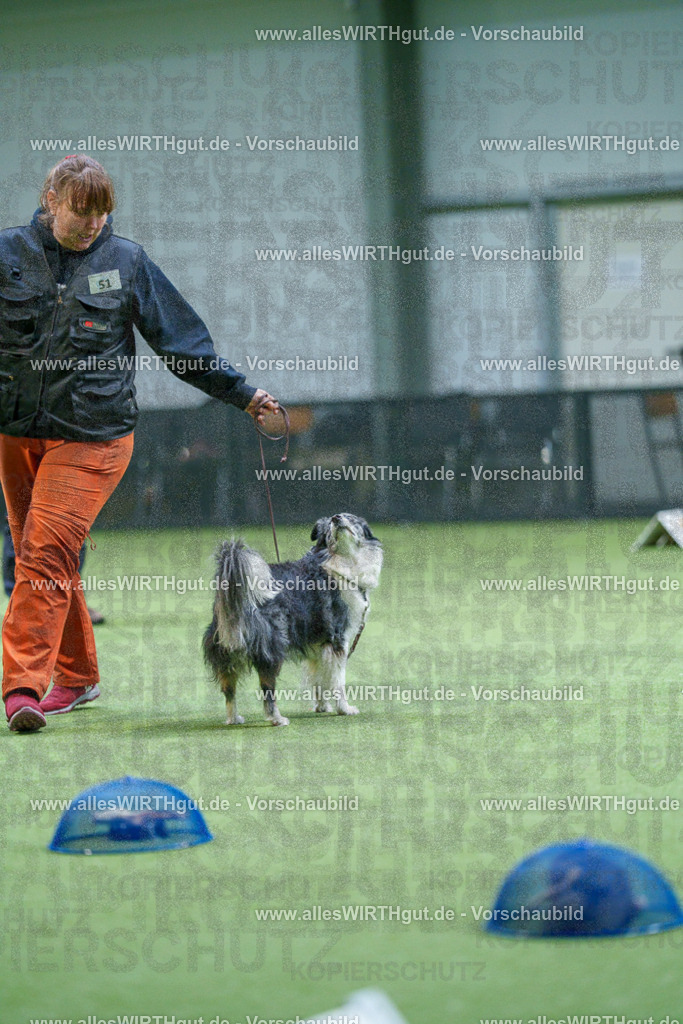 7R506413 | Professionelle Tierfotografie in Mönchengladbach von Daniel Wirth (allesWIRTHgut). Liebevolle & natürliche Bilder von Hunden & Katzen für unvergessliche Erinnerungen.