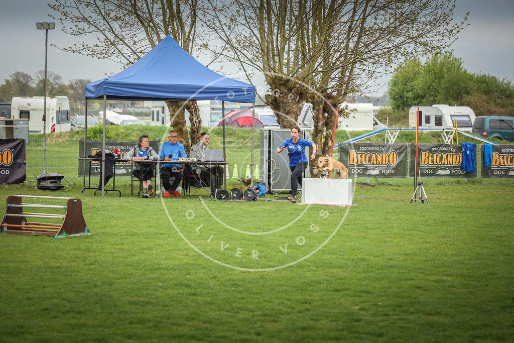 Pfotenfotografie_0L8A9560 | Hundefotografie, Tierfotograf, Pfotenfotografie, Fotoshooting Hund, Hunde Portrait, Hundesport, Hundeportraits, Heideshooting, Hunde, Sportfotograf, Hundefotograf, Turnierhundsport, THS,  - Realisiert mit Pictrs.com