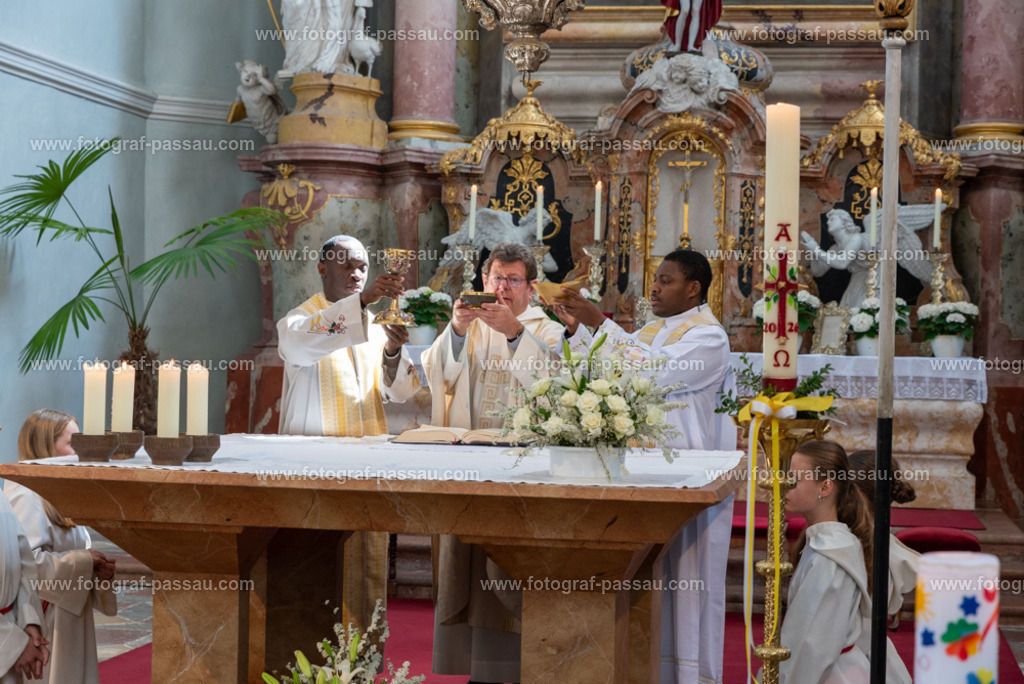 _DSC2720 | Hier finden Sie die Online Foto-Galerie von fotograf-passau.com und marius-handrugan.de. Suchen Sie sich direkt Ihre Lieblingsbilder aus, ob als Ausdruck oder Download. - Realisiert mit Pictrs.com